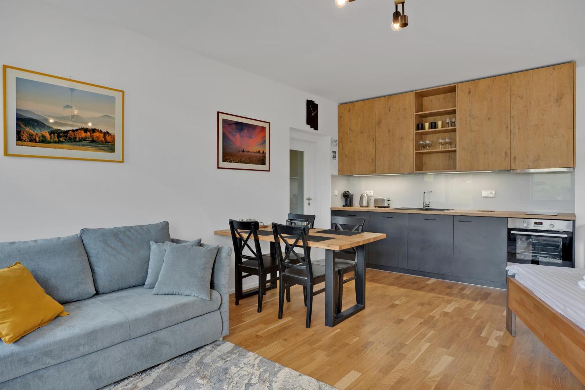 Meadows Apartments Klinovec Loucna pod Klinovcem Ngoại thất bức ảnh